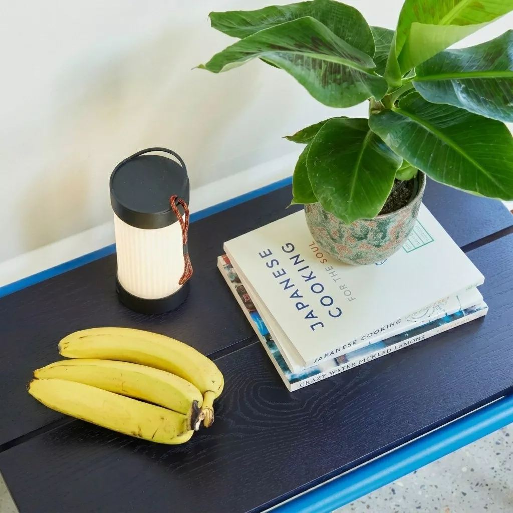 Plateau bleu marine du banc en placage frêne vu de dessus, grain du bois apparent, livres, plante en pot et lampe portable